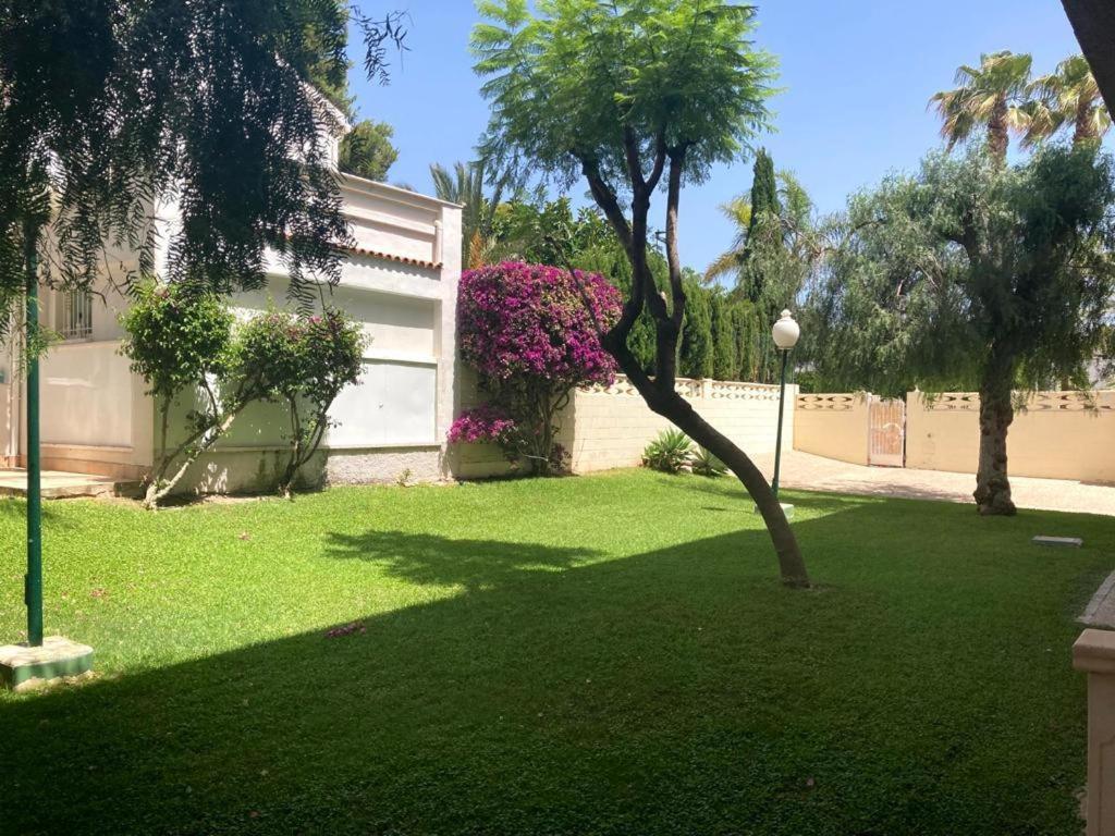 Apartamento Con Piscina Y Parking El Campello Exteriör bild
